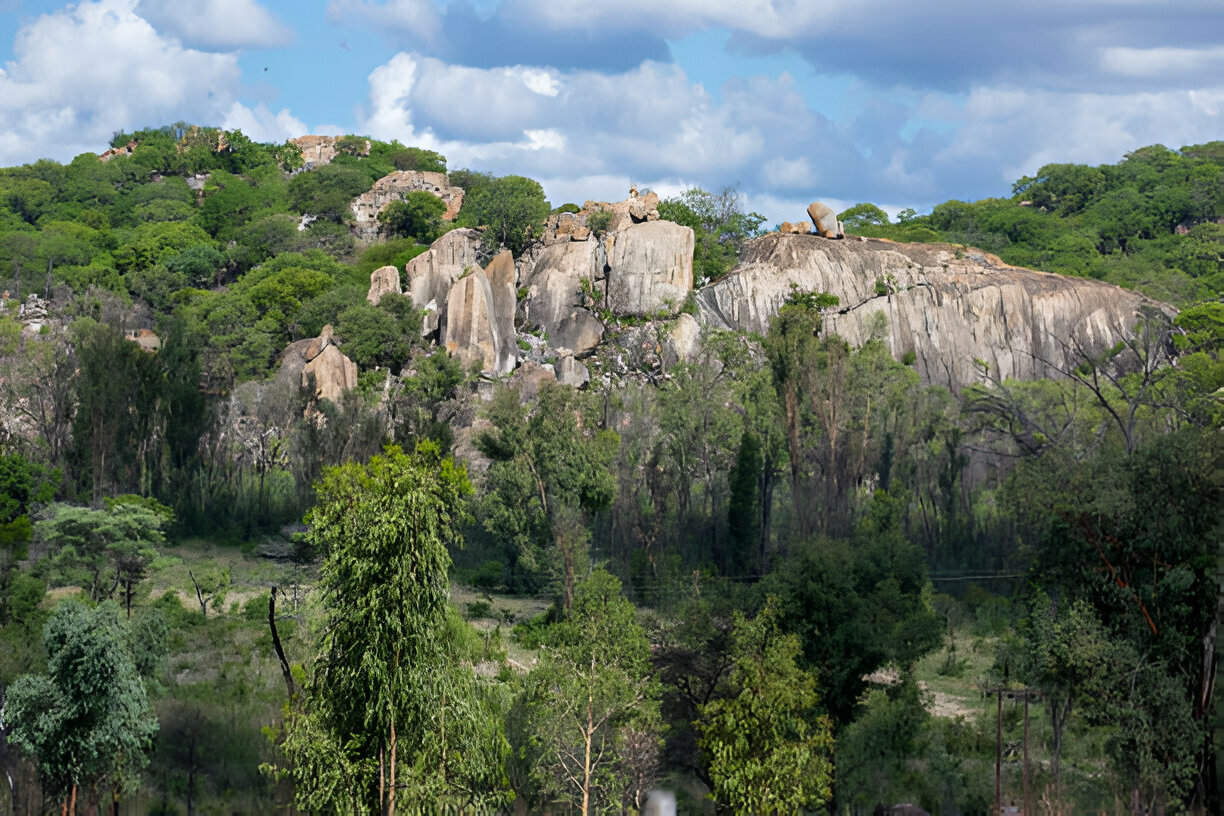 Image of